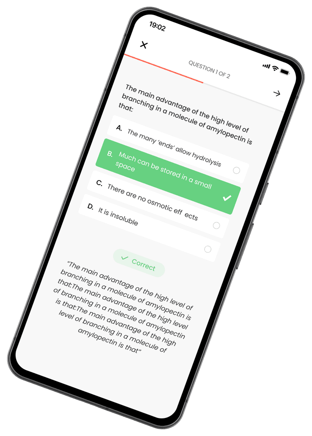 SkillBridge product preview
